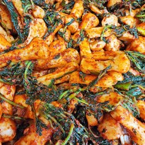 올바른새움푸드 농가수제 매콤 아삭 알타리김치 총각김치, 1kg, 1개