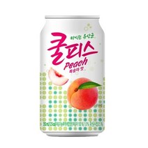 기타 동원쿨피스복숭아맛350ml24입/SH, 단일