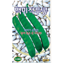 백미 작두콩씨앗10립 KS종묘 백피가 선명한 몸에 좋은 흰 작두콩