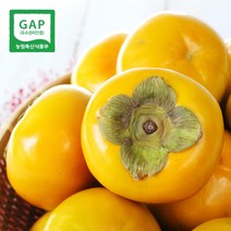 [생산자직송] 창원 부유 단감 5kg, (중) 5kg