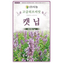 캣닙씨앗 1g, 상세 설명 참조