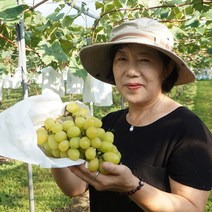 숲밑에농원 영동 고당도 샤인머스켓 망고 포도 2kg, 샤인머스켓 3송이 2kg