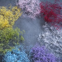 프리저브드 구슬 미니안개 소량/드라이플라워 하바리움 재료 보존화, 04. 미니안개-그린