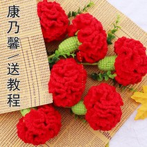 코바늘 카네이션뜨기 어버이날 꽃 선물 손뜨개 미니화환, 빨간 카네이션 8-10 재료 패키지