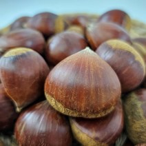 23년 국산 햇밤 생밤 1kg 2kg 3kg 5kg, 5kg(대), 1개