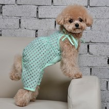강아지 해충방지옷 버그가드 체크 진드기방지옷 멜빵바지 올인원, 민트