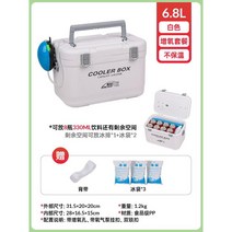 아이스박스 10리터 낚시 아이스쿨러백 대용량 차량용, 6.8L 화이트 +산소 펌프