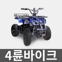 4륜바이크 사륜오토바이 다목적 레저용 스포츠 강촌, 3. (36V12A) 체인 드라이브