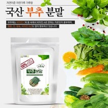 국산 부추분말 200g 채소 야채 건강 천연 조미료 가, 1, 본상품선택