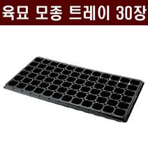 [주식회사 범농] 육묘 모종트레이(30장) - 육묘장 수목 묘목 배추 고추 상추 양파 대파 마늘 트레이 화분, 128구
