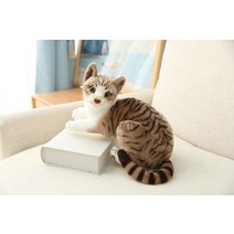고양이 실사 인형 동물 피규어장식 인형 쿠션 앉아있는 고양이, 40 cm, 1