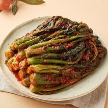 기타 여수노반장 여수돌산갓김치 1.5kg 국내산, 1개