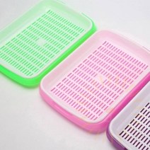 단디 새싹 재배기 식물재배