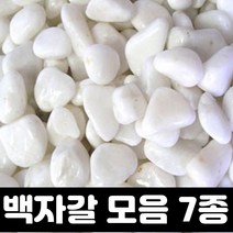 하얀자갈 백자갈 3kg 흰 돌 정원 마당 자갈 깔기 조약돌 어항 화분 용 미술 야외 실내 인테리어, 5종