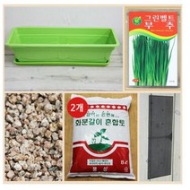 행복한세상 텃밭가꾸기 대 그린 부추, 5개