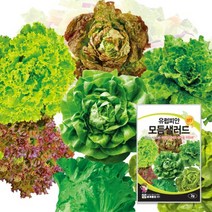 유럽피안모듬샐러드 씨앗(2g), 1개