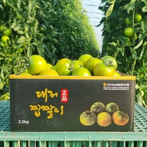 산지직송 대저 짭짤이토마토, 04) 맛있는 대저토마토 중과 2.5kg (M 사이즈)
