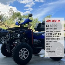 ATV 사륜바이크 4륜구동 사륜 오프로드 오토바이 2인승 연료 350cc 전지형 산악자전거 at, 05 쿼드/오토매틱/320수냉/일진일도/10알