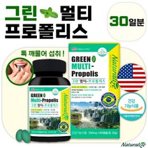 식약처 인증 브라질 그린 프로폴리스 츄어블 60캡슐 1개월분 . 미국 직수입 구강 입속 항균 항산화 면역 기능 항산화 세포보호 피부 눈 건강 에너지 활력 생성 뼈 건강, 2통