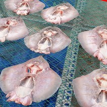 자연산 반건조 간재미 1kg 국내산 갱개미 가오리, 건조갱개미1kg (3~5미)