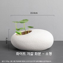 특이한 꽃꽂이 화분 화기 꽃병 화병 녹색식물 도자기 세라믹, 화이트 자갈 화분 소형