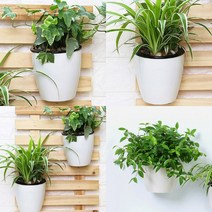 자동급수 벽걸이 화분 5P세트 11X14CM 가드닝 화분자동급수기