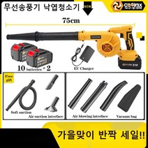 무선송풍기 낙엽청소기 산업용 공업용 미니 소형 흡출기 충전식 대포 송풍기 21V, 본품+배터리2개  (패키지 C), 미국플러그