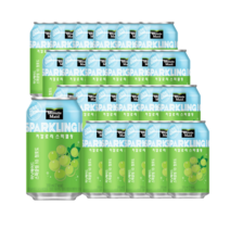 코카콜라 미닛메이드 스파클링 청포도 CAN 350ml x 24캔