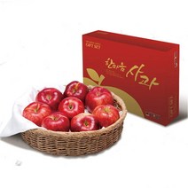 2023설 남도장터 에코한마음 저탄소 장성사과 5kg (15-16과/부사 선물용)