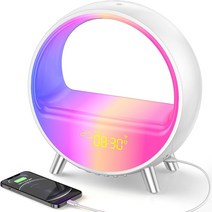 가성비고속 무선 충전기 알람 시계 스피커 핸드폰 앱 제어 RGB 야간 조명 스테이션 14 호환용, 02plug