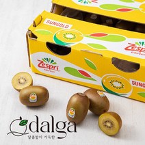 달가 제스프리 썬 골드키위 대/특대/점보 1kg~3kg, 골드키위 대과 20입(2kg내외), 1개