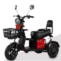 세발 3륜 전기자전거 출퇴근용 배달 유아동승 마트, 상세 페이지 참고, 48v20 리튬 배터리