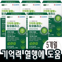 징코플러스 은행잎추출물 혈액 순환 에 좋은 두뇌 기억력 영양제 혈행 개선 도움 뇌 약5개월분(5박스)