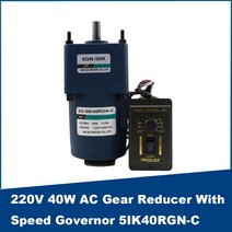 40W 220V AC 기어 감속기 모터 속도 조절기 포함 단상 모터 소형 정방향 및 역방향 느린 유도 모터, 02 20rpm