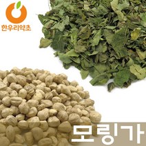 모링가잎 모링가열매 씨앗 효능 먹는법, (태국산)모링가잎600g