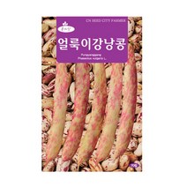 청농 얼룩이 강낭콩씨앗 70립 비덩굴, 단품