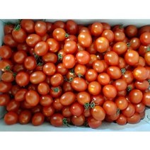 야채왕 방울토마토 1박스(5kg)