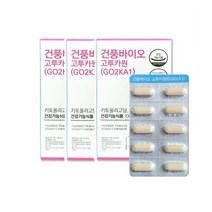 건풍바이오 고투카원 (GO2KA1) 3박스 (3개월분).YG, 3개, 상세페이지 참조