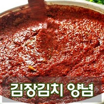 [당일 배송] 국산 김장 김치 양념, 10kg