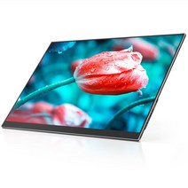 포터블 휴대용 모니터 17.3 인치 144Hz A + IPS 휴대용 모니터 Lcd 화면 HDR 유형 C HDMI-스위치 PS5 Xbox, 02 17.3 INCH 144Hz_03 AU 플러그