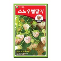 다농 스노우벨딸기 씨앗 100립