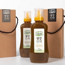 지리산 무농약 생강청 생강원액스틱 생강즙원액 520g, 생강스틱 12포