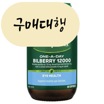 톰슨 빌베리 12000mg 60캡슐 루테인효능 루테인추천 원어데이 홍박스 구매대행, 1개, 60정, 60정