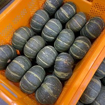 국내산 공중재배 미니밤호박 단호박, 1개, 3kg(4~5개)