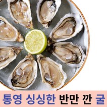 최고급 통영 산지직송 싱싱한 하프쉘 반만깐 굴 반탈각 굴 생굴 각굴 반각굴 깐굴, 하프쉘 3단 100미