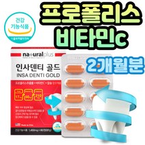 프로폴리스 비타민C 상처 건강 골밀도 뼈 치아 유지 플라보노이드 칼슘 항산화 철 흡수 뼈 골격 형성 골 다공증 위험 감소 흉터 개선 노년층 장년층 60대 70대 80대 식약처인정