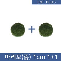 [원플러스 특가] 마리모 단품 중 1cm (1 1)