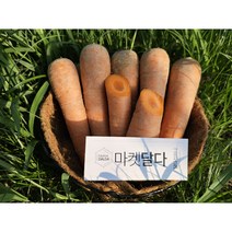 국산 햇당근, 당근 3kg(미니/쥬스용), 1개