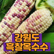 강원도 국내산 냉동 찐 흑찰옥수수 쫀득쫀득 특품 프리미엄 신선 특대사이즈 12개 알록달록 얼룩이 삶은 옥수수, 17cm