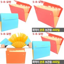 A4 화일케이스 보관함 똑딱이화일 서류정리 클리어파일, 12칸